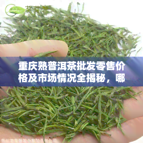 重庆熟普洱茶批发零售价格及市场情况全揭秘，哪里有专业专卖店？