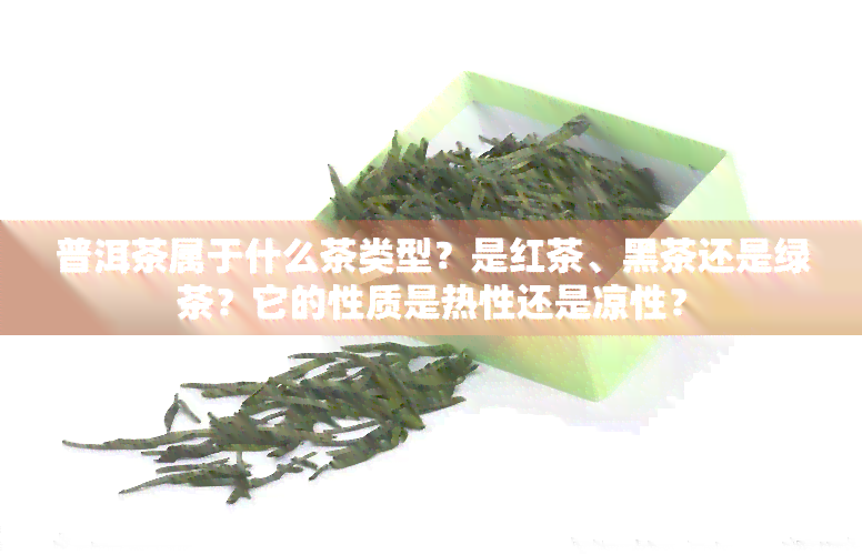 普洱茶属于什么茶类型？是红茶、黑茶还是绿茶？它的性质是热性还是凉性？