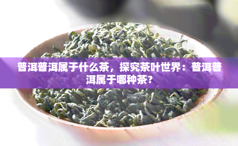 普洱普洱属于什么茶，探究茶叶世界：普洱普洱属于哪种茶？