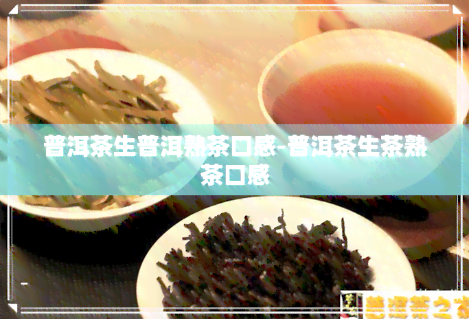 普洱茶生普洱熟茶口感-普洱茶生茶熟茶口感