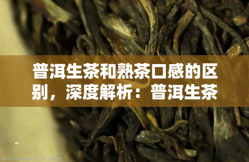 普洱生茶和熟茶口感的区别，深度解析：普洱生茶与熟茶的口感差异