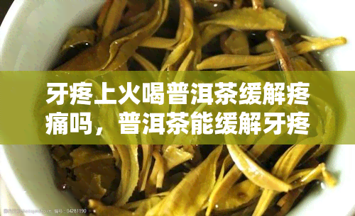 牙疼上火喝普洱茶缓解疼痛吗，普洱茶能缓解牙疼和上火症状吗？