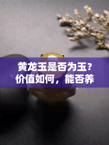 黄龙玉是否为玉？价值如何，能否养人？探究黄龙玉的真实身份与品质