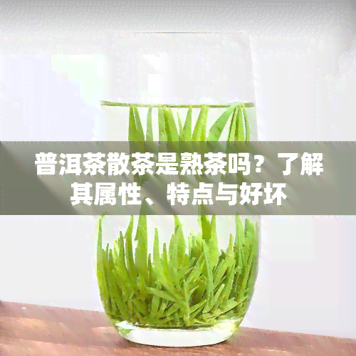 普洱茶散茶是熟茶吗？了解其属性、特点与好坏