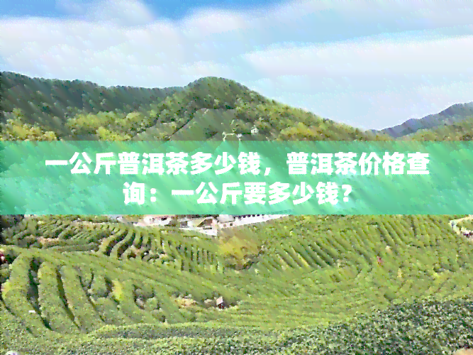 一公斤普洱茶多少钱，普洱茶价格查询：一公斤要多少钱？