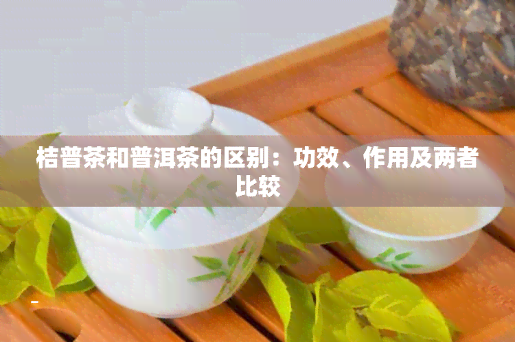 桔普茶和普洱茶的区别：功效、作用及两者比较