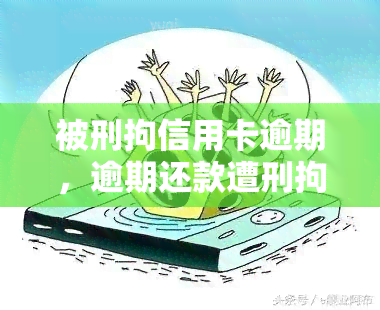 被刑拘信用卡逾期，逾期还款遭刑拘：信用卡管理需谨