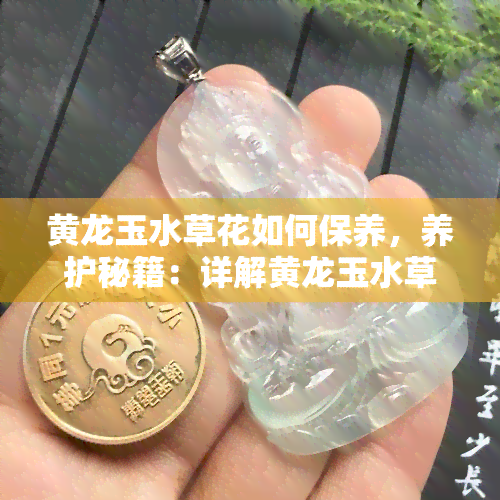 黄龙玉水草花如何保养，养护秘籍：详解黄龙玉水草花的保养方法