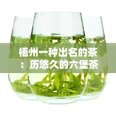 梧州一种出名的茶：历悠久的六堡茶