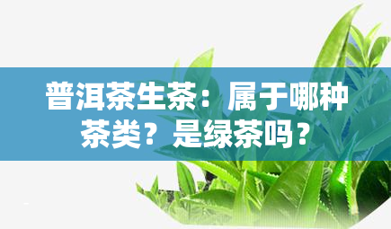 普洱茶生茶：属于哪种茶类？是绿茶吗？