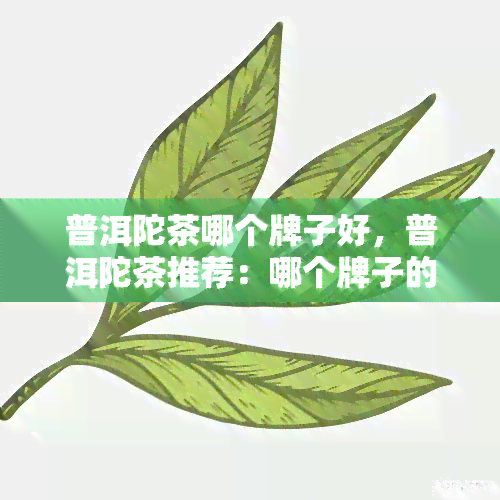 普洱陀茶哪个牌子好，普洱陀茶推荐：哪个牌子的普洱陀茶？