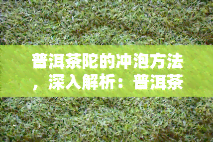 普洱茶陀的冲泡方法，深入解析：普洱茶陀的独特冲泡方法