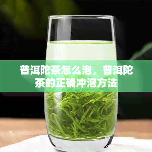 普洱陀茶怎么泡，普洱陀茶的正确冲泡方法