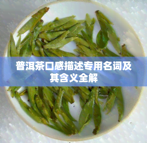 普洱茶口感描述专用名词及其含义全解