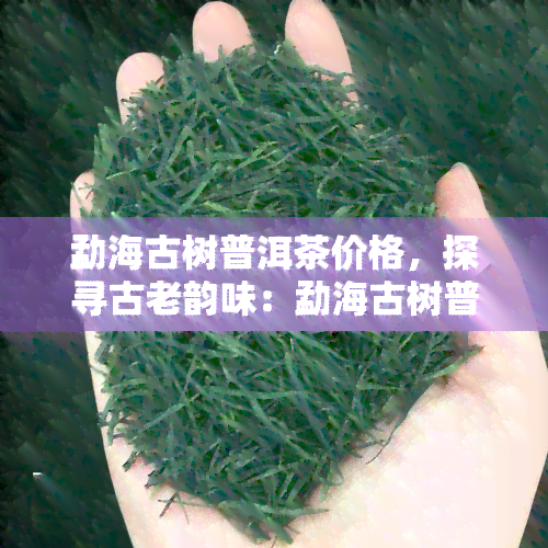 勐海古树普洱茶价格，探寻古老韵味：勐海古树普洱茶的价格解析