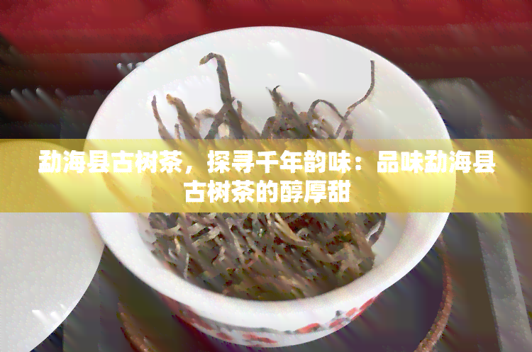 勐海县古树茶，探寻千年韵味：品味勐海县古树茶的醇厚甜