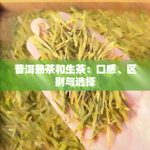 普洱熟茶和生茶：口感、区别与选择