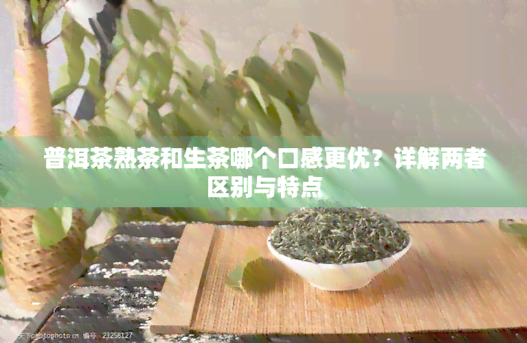 普洱茶熟茶和生茶哪个口感更优？详解两者区别与特点