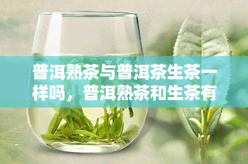 普洱熟茶与普洱茶生茶一样吗，普洱熟茶和生茶有何不同？