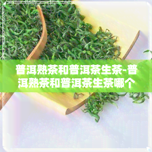 普洱熟茶和普洱茶生茶-普洱熟茶和普洱茶生茶哪个好