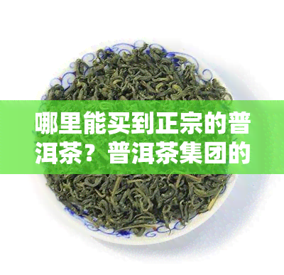 哪里能买到正宗的普洱茶？普洱茶集团的茶叶、普洱茶饼购买指南