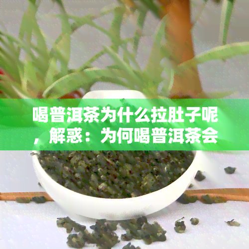 喝普洱茶为什么拉肚子呢，解惑：为何喝普洱茶会引发腹泻？