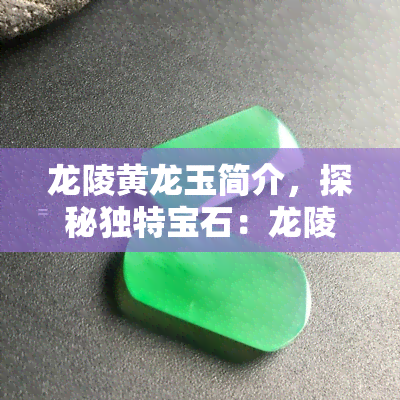 龙陵黄龙玉简介，探秘独特宝石：龙陵黄龙玉的简介与鉴赏