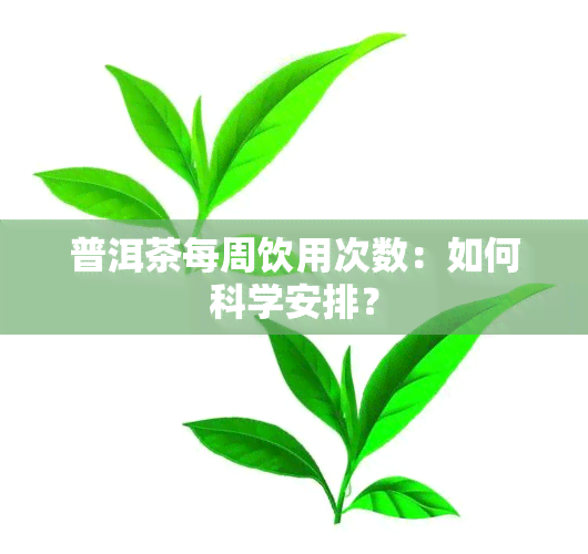 普洱茶每周饮用次数：如何科学安排？