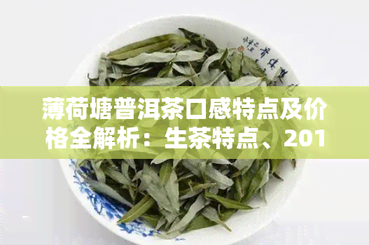 薄荷塘普洱茶口感特点及价格全解析：生茶特点、2018年价格、古树纯料价格一览