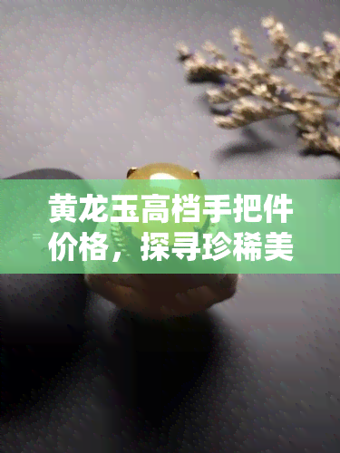 黄龙玉高档手把件价格，探寻珍稀美玉：黄龙玉高档手把件的市场价格解析