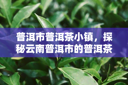 普洱市普洱茶小镇，探秘云南普洱市的普洱茶特色小镇