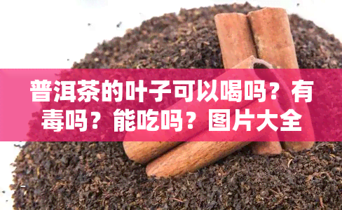 普洱茶的叶子可以喝吗？有吗？能吃吗？图片大全