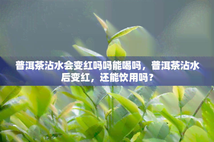 普洱茶沾水会变红吗吗能喝吗，普洱茶沾水后变红，还能饮用吗？