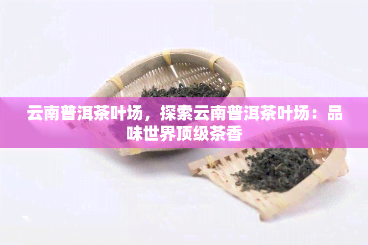 云南普洱茶叶场，探索云南普洱茶叶场：品味世界顶级茶香