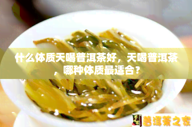 什么体质天喝普洱茶好，天喝普洱茶，哪种体质最适合？