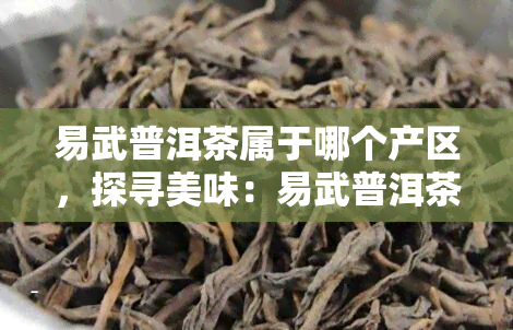 易武普洱茶属于哪个产区，探寻美味：易武普洱茶的产地之谜