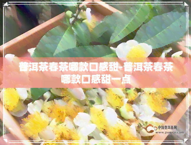 普洱茶春茶哪款口感甜-普洱茶春茶哪款口感甜一点