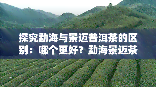 探究勐海与景迈普洱茶的区别：哪个更好？勐海景迈茶厂及景迈是否属于勐海茶区？