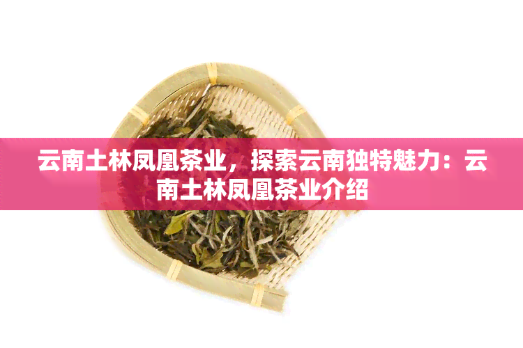 云南土林凤凰茶业，探索云南独特魅力：云南土林凤凰茶业介绍