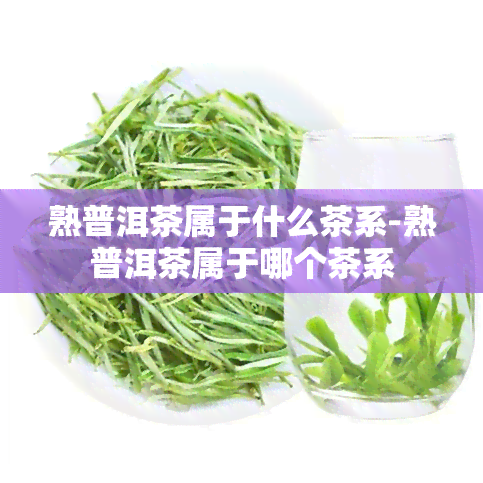 熟普洱茶属于什么茶系-熟普洱茶属于哪个茶系