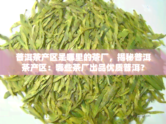 普洱茶产区是哪里的茶厂，揭秘普洱茶产区：哪些茶厂出品优质普洱？