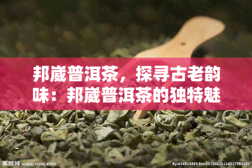 邦崴普洱茶，探寻古老韵味：邦崴普洱茶的独特魅力与历渊源