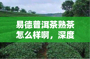 易德普洱茶熟茶怎么样啊，深度解析：易德普洱茶熟茶的品质与口感如何？