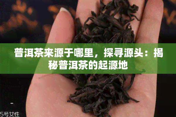 普洱茶来源于哪里，探寻源头：揭秘普洱茶的起源地