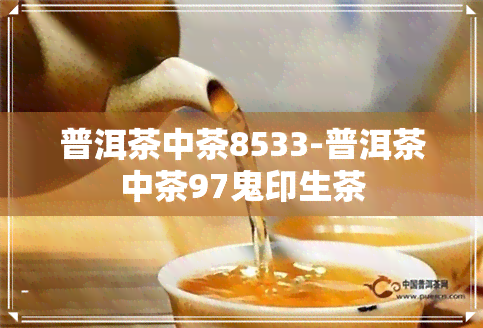 普洱茶中茶8533-普洱茶中茶97鬼印生茶