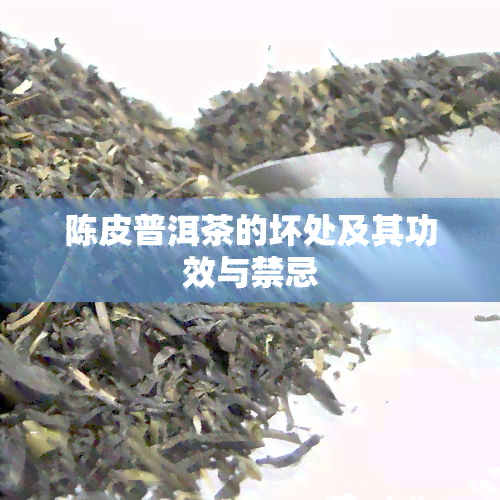 陈皮普洱茶的坏处及其功效与禁忌