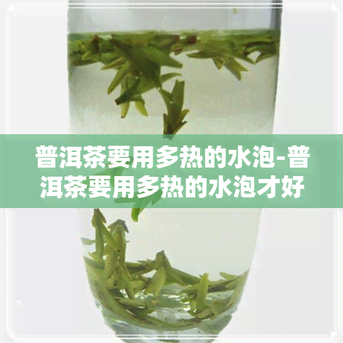 普洱茶要用多热的水泡-普洱茶要用多热的水泡才好