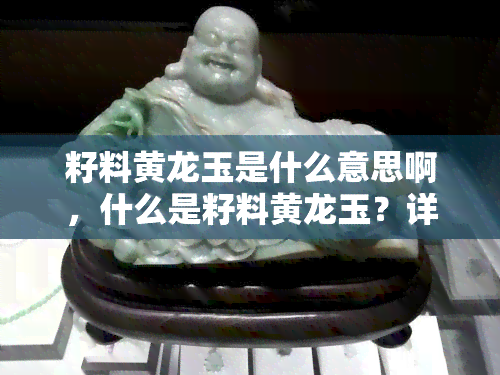 籽料黄龙玉是什么意思啊，什么是籽料黄龙玉？详解其含义和特点