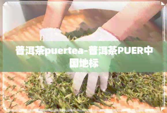 普洱茶puertea-普洱茶PUER中国地标