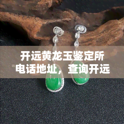 开远黄龙玉鉴定所电话地址，查询开远黄龙玉鉴定所的联系方式和地址